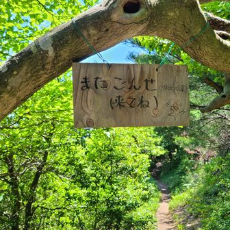 結構、山の麓から離れてるところにあがってた