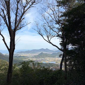 山側の景色