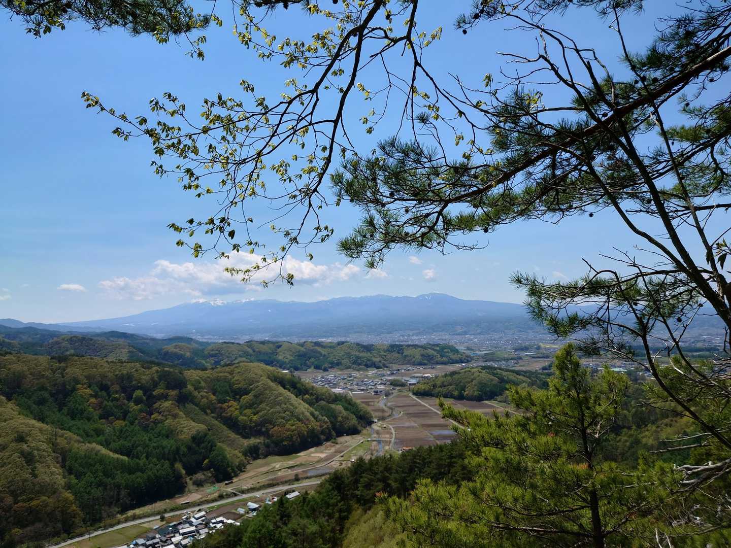 からの景色。