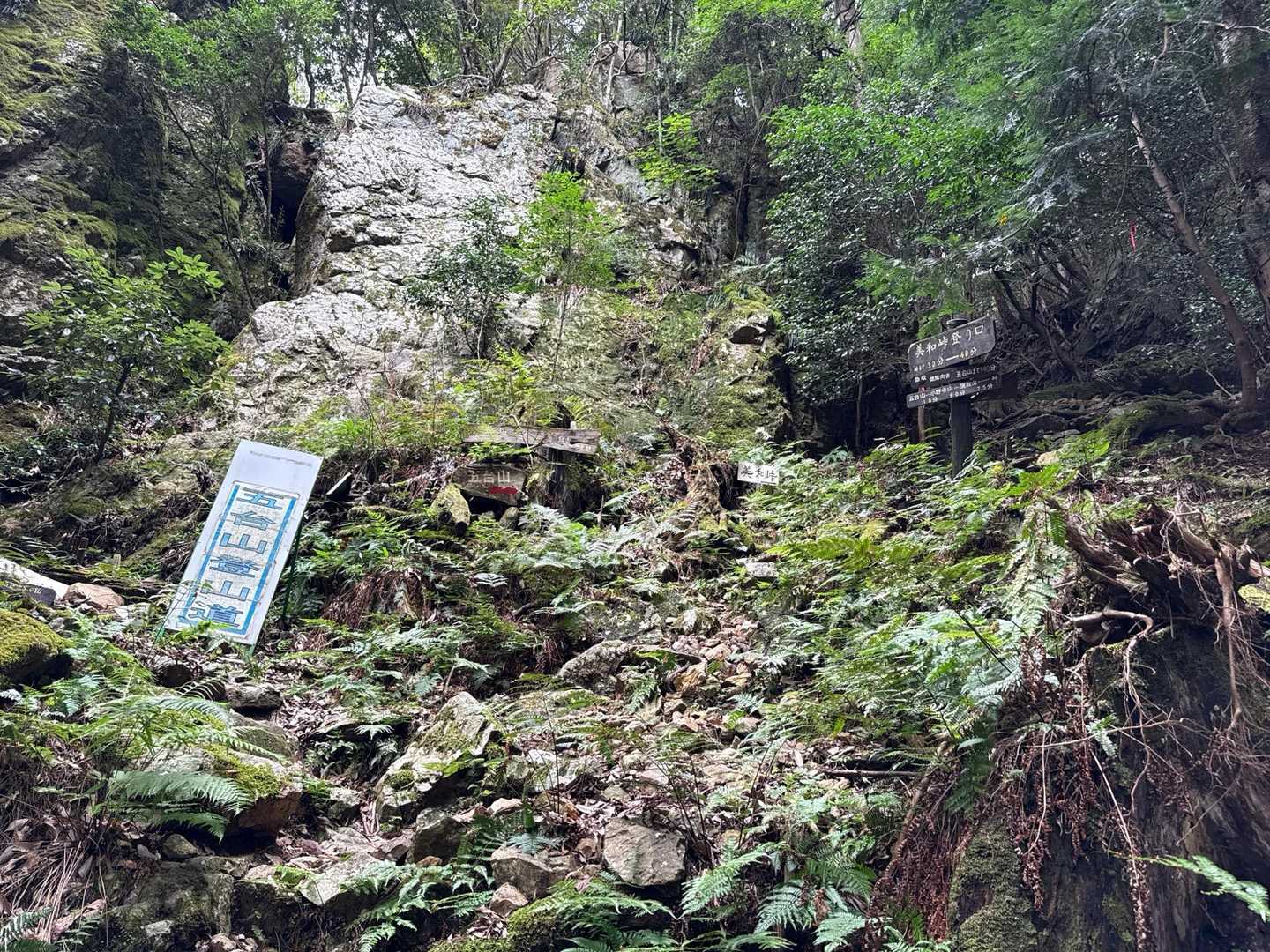 独鈷の滝を登ってきてここで左へ行くと、最初の脚立の渡渉。右の美和峠登り口へ行くと、少し急登ですが、脚立の渡渉を回避して堰に出ます。