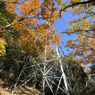ここまでまあまあの急登でした💦