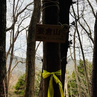 最後のピークの要倉山で雨がポツポツ降り始めました。午前中持つかなと思ってたのに。でもこの後はほぼ降りませんでした。