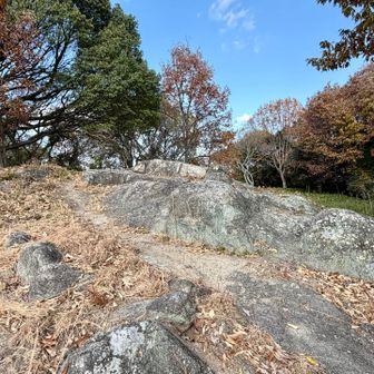 ここが、山頂かと思ったら、岩🪨だけ。