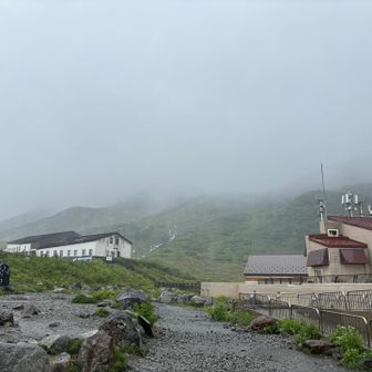 道が川