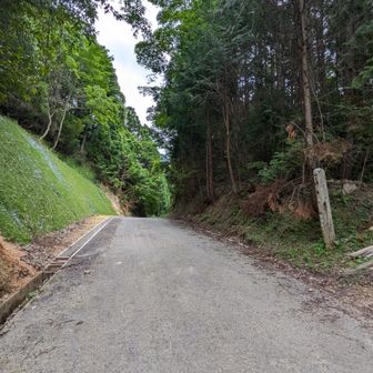 貝吹峠
峰入り時に法螺を吹いたことにちなむとか。これが最後の峠で、越えると汐井川の谷に入る