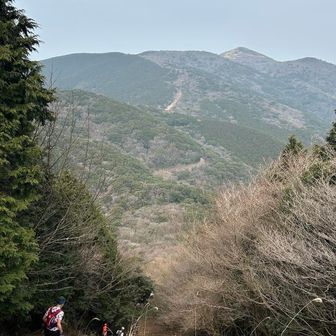 まだ福智山まで遠っ💦