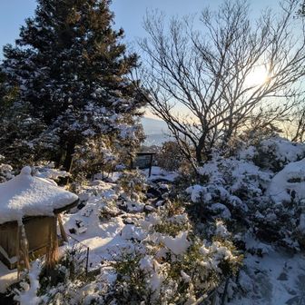 古処山へ巻き戻した