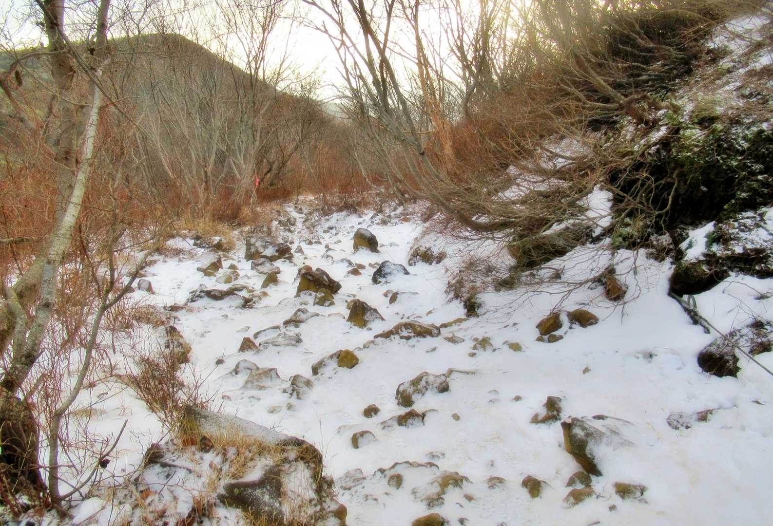 それがいつしか・・
こんな雪道に・・
わーい😃
🎵山も野原も 綿帽子かぶり
　 犬は喜び 山かけまわる
（雪：童謡）
