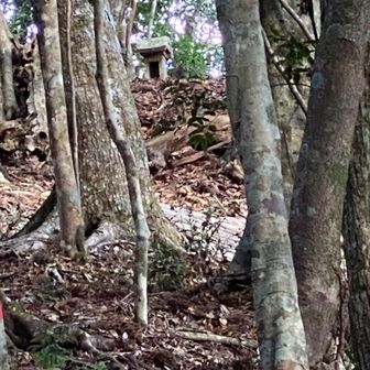 山頂が見えたケド、撤退しました。100mルールでゲット！立ち入り禁止🚧だからね！
平日だけど晴れ着を着たのよ🎵　越路吹雪やで！