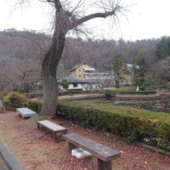 池がある広い境内