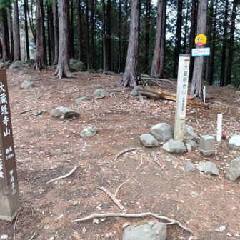 山頂は眺望なし😅