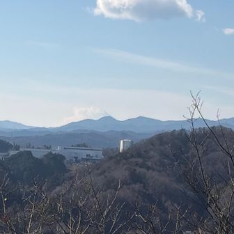 富士山は雲の中
