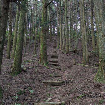 江川岳へ