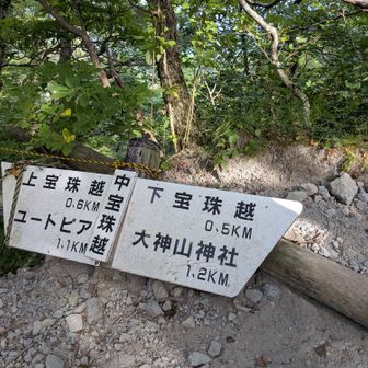 中宝珠越〜約半分