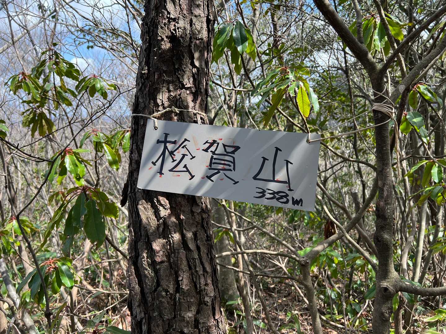 松賀山
この先のお楽しみはアセビ