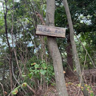 横道山登頂⛰️！