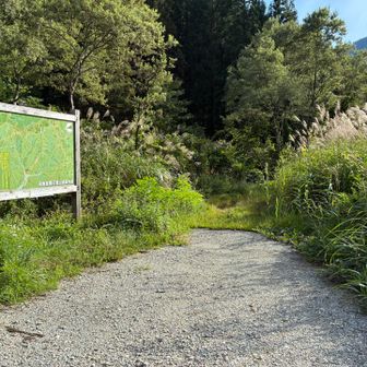 やっと登山口まで降りてきました