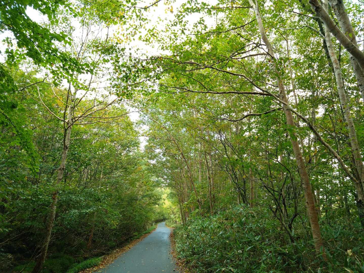 小田越登山口に下山する頃に、通り雨…だんだんお天気が良くなっていき、青空も見えてきた。今山頂にいる人は、(≧∇≦)b