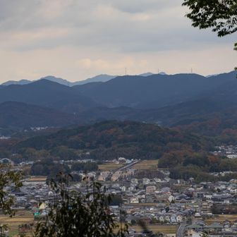 男山を見下ろす