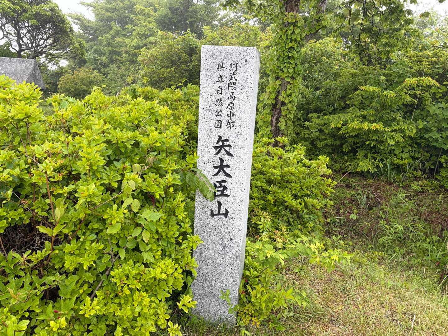 湯沢登山口-矢大臣山 往復コースの写真