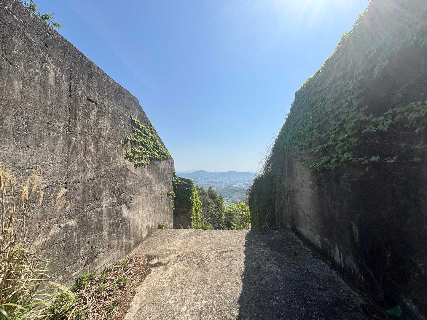 ここレポで見たとこだ👀