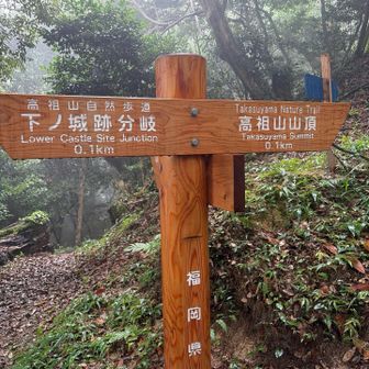 後，ちょっと🤏
