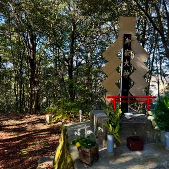 安桜山山頂は展望台より少し先にある