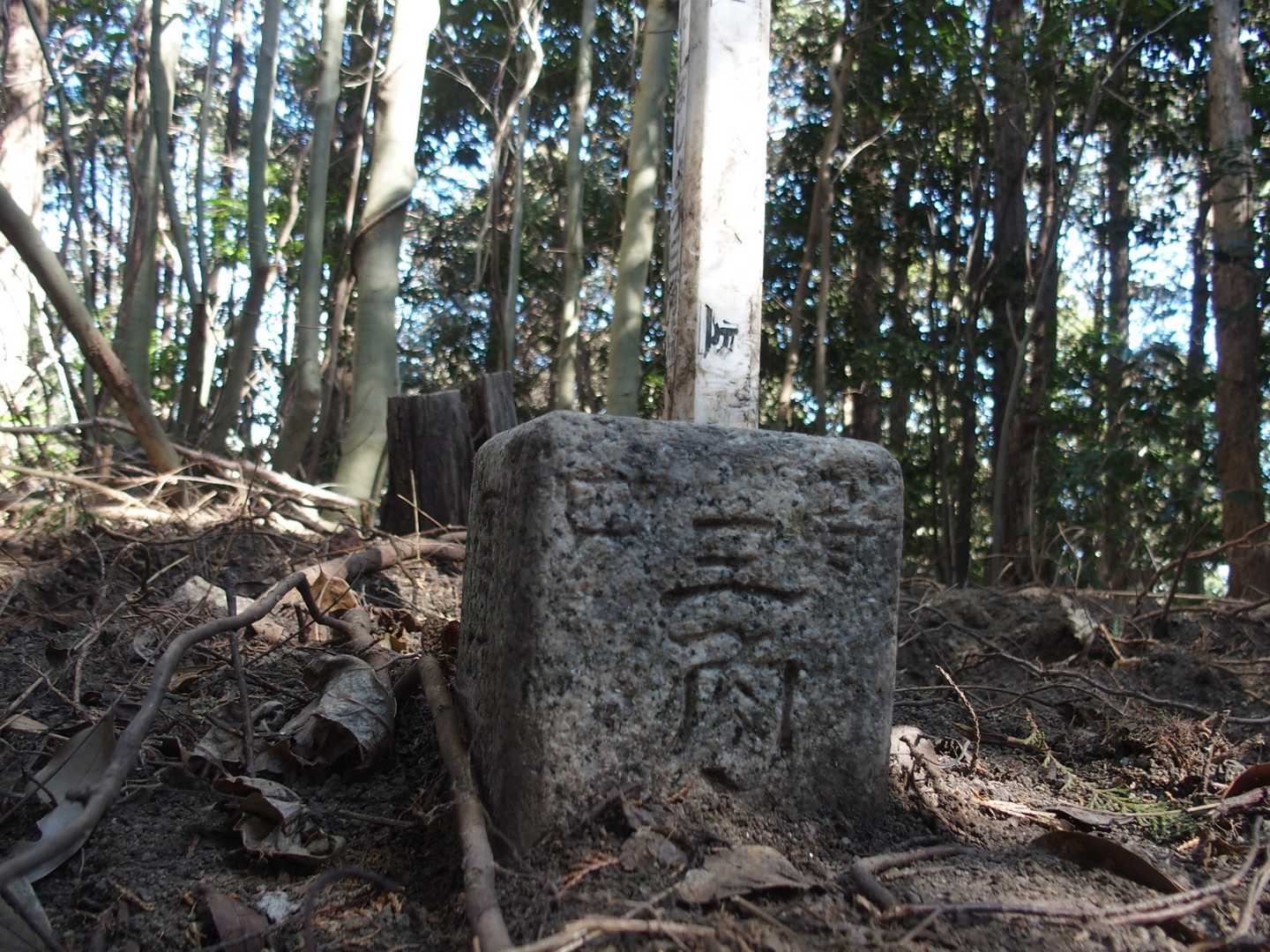四等三角点(大谷)