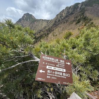 【展望デッキ】
板張りの休憩スペース
この先三叉峰までの登山道、
赤岳、横岳、見渡せる絶景ポイント
この辺りから胸の締め付け？
息苦しさを感じること数回、
深い呼吸で整える。