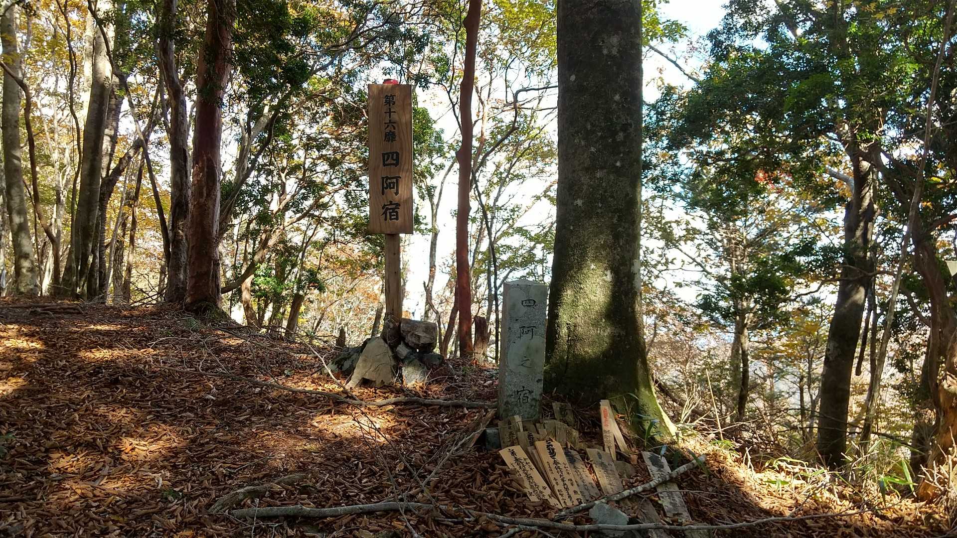 第16靡【四阿宿】
東屋岳1230m