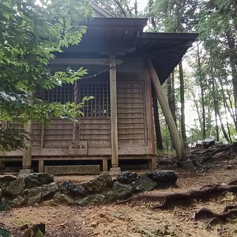 道樹山　山頂(付近？)
山標識なし
