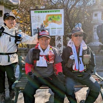 パイセンに🌸が咲く？