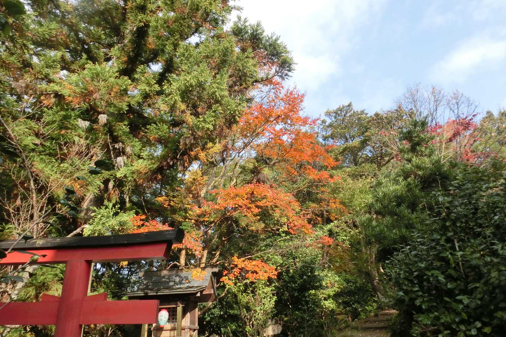 城台山-城ヶ峰 往復コースの写真