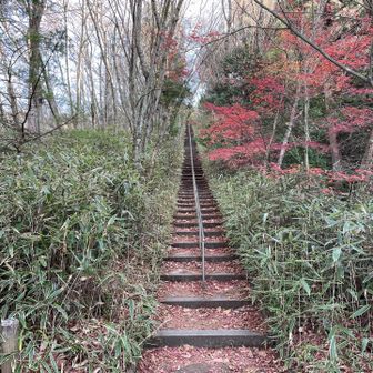 踊り場で方向転換してさらに上ります
