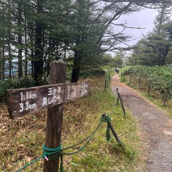 先ずは、王ヶ鼻を目指す