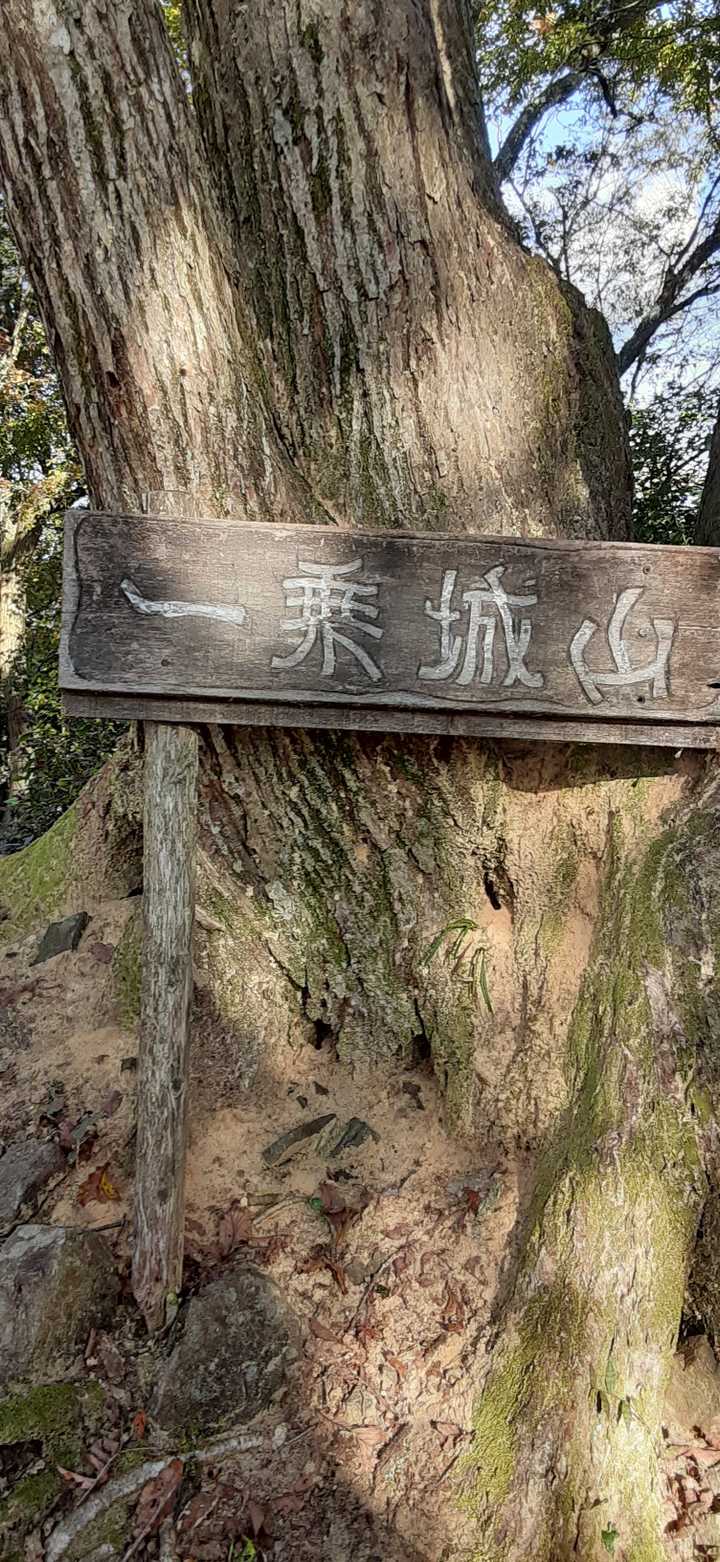 ついた～