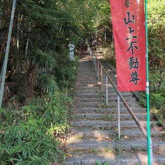 皇子が丘公園をどんどん上に上がっていくと
山上不動尊（山上浪切不動尊）の赤いのぼりがある。早尾神社に向かって階段を上がる。