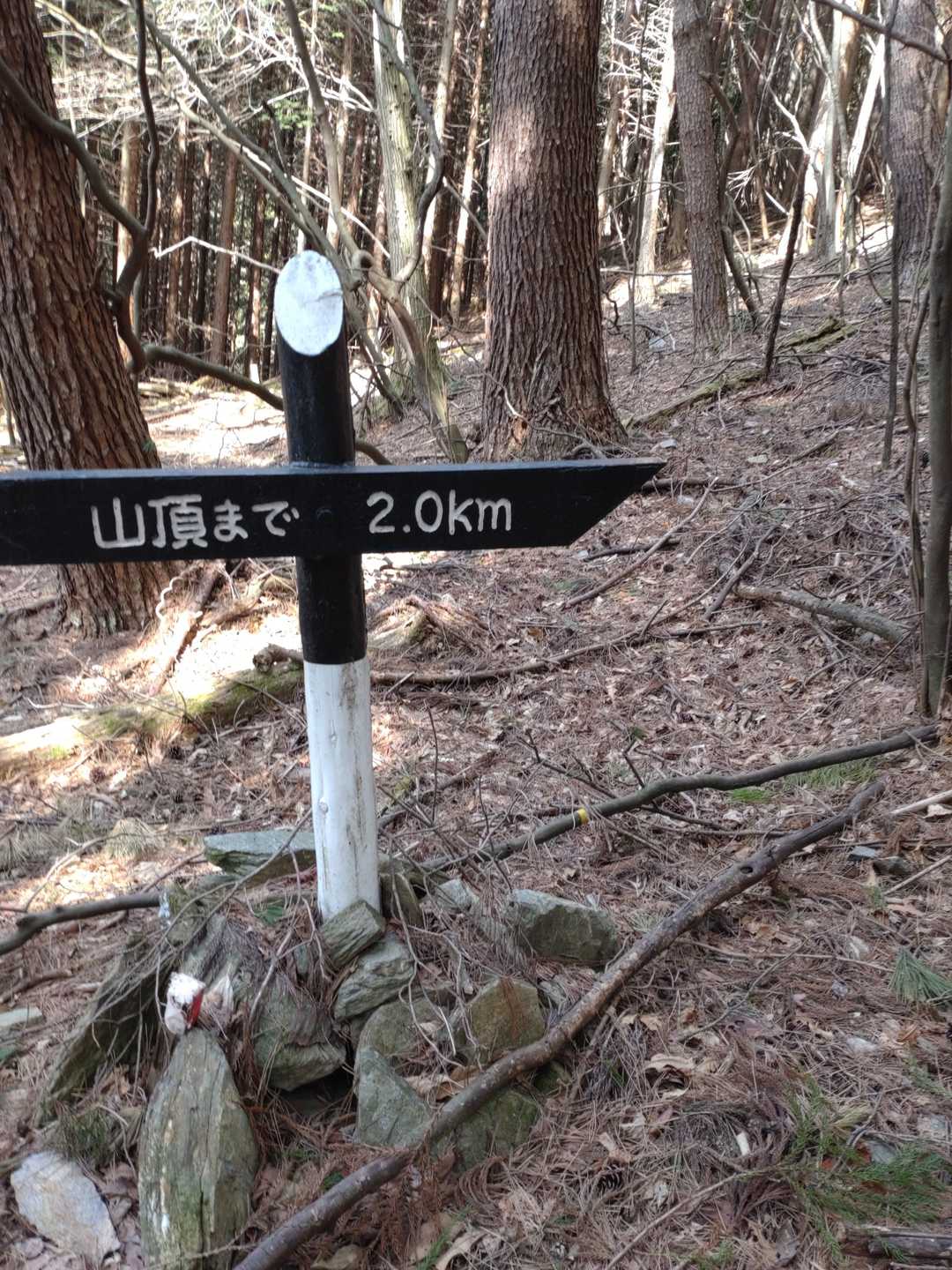 初めてのルートです
