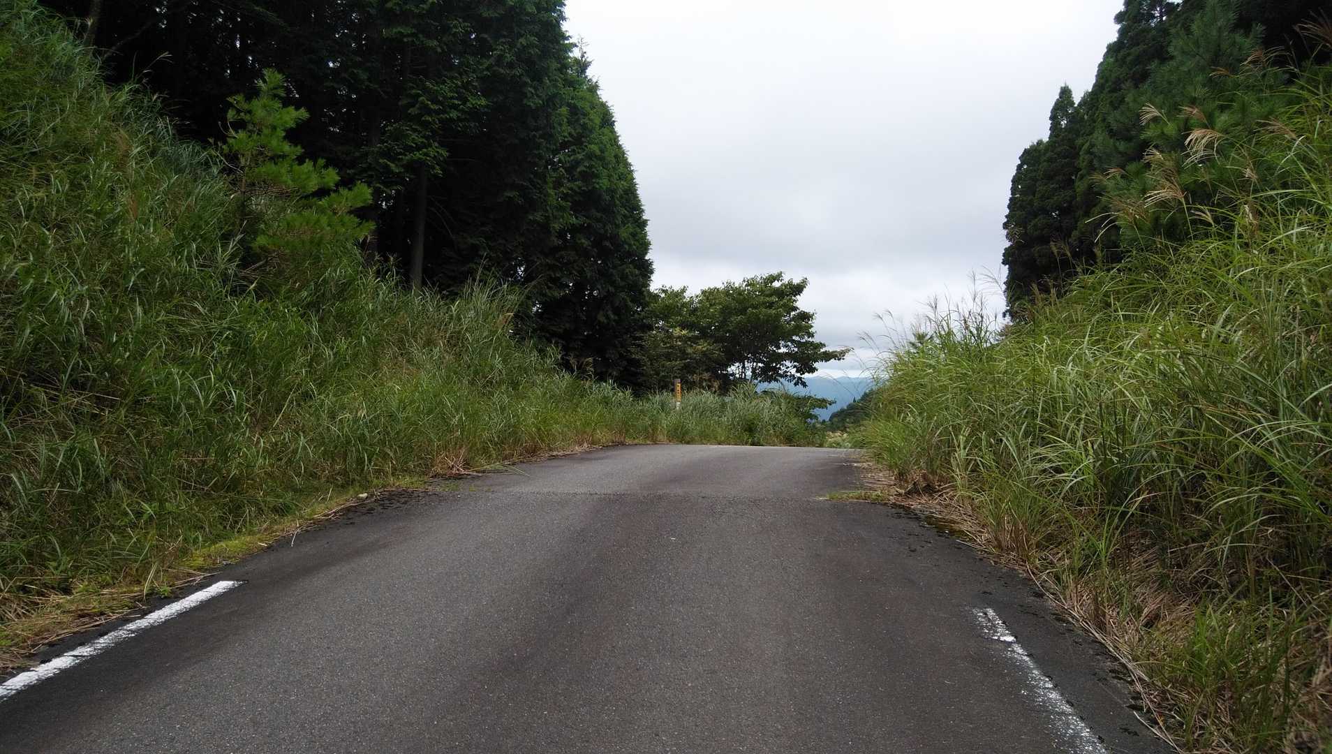 藤ヶ峰登山口-藤ヶ峰 往復コースの写真