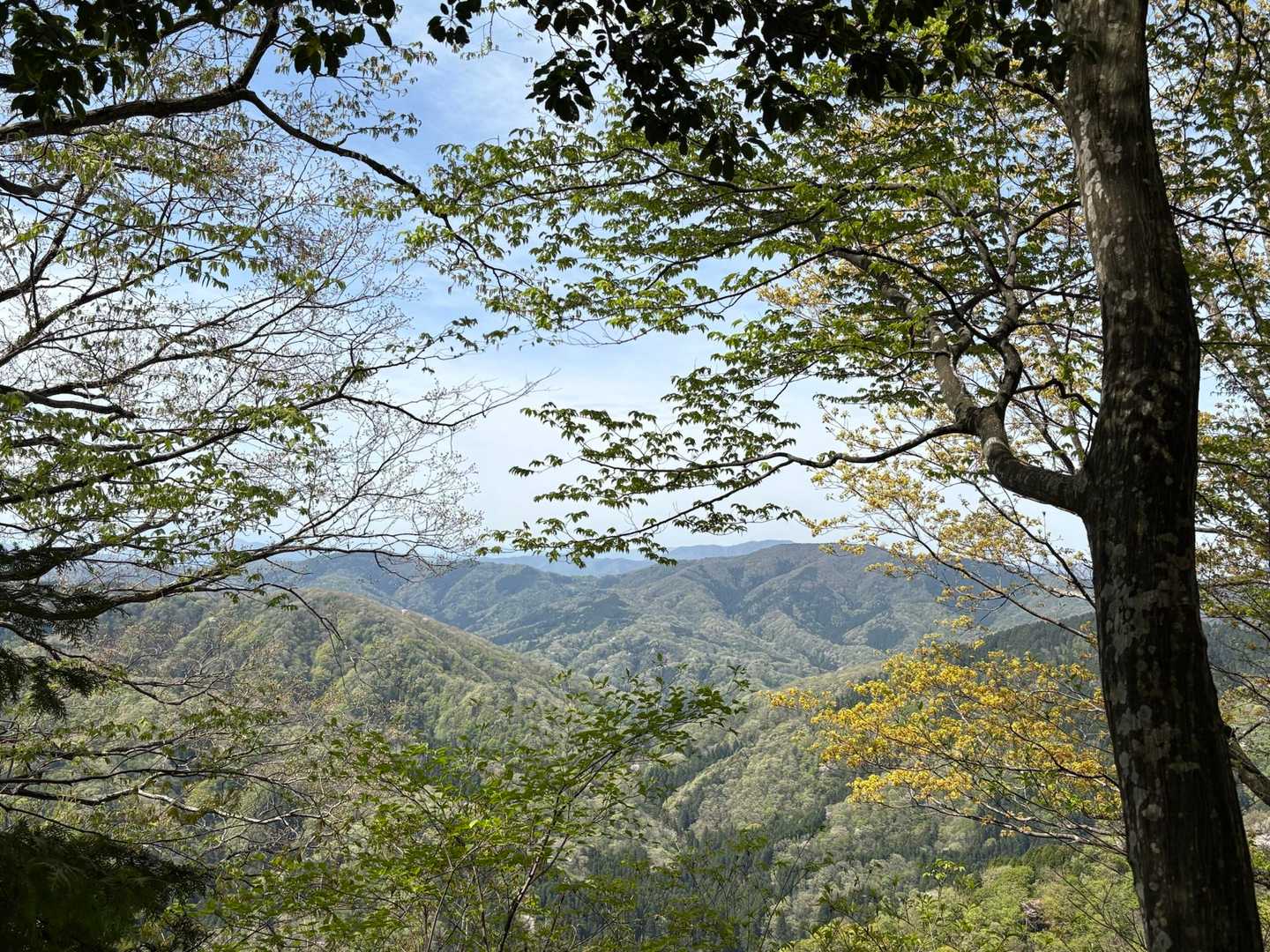 七七頭ヶ岳 往復コースの写真