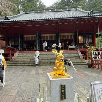 二荒山神社の拝殿です。

良い縁うさぎが出迎えてくれました😊