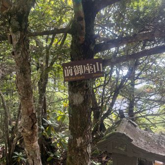 前御座着　地味です😅