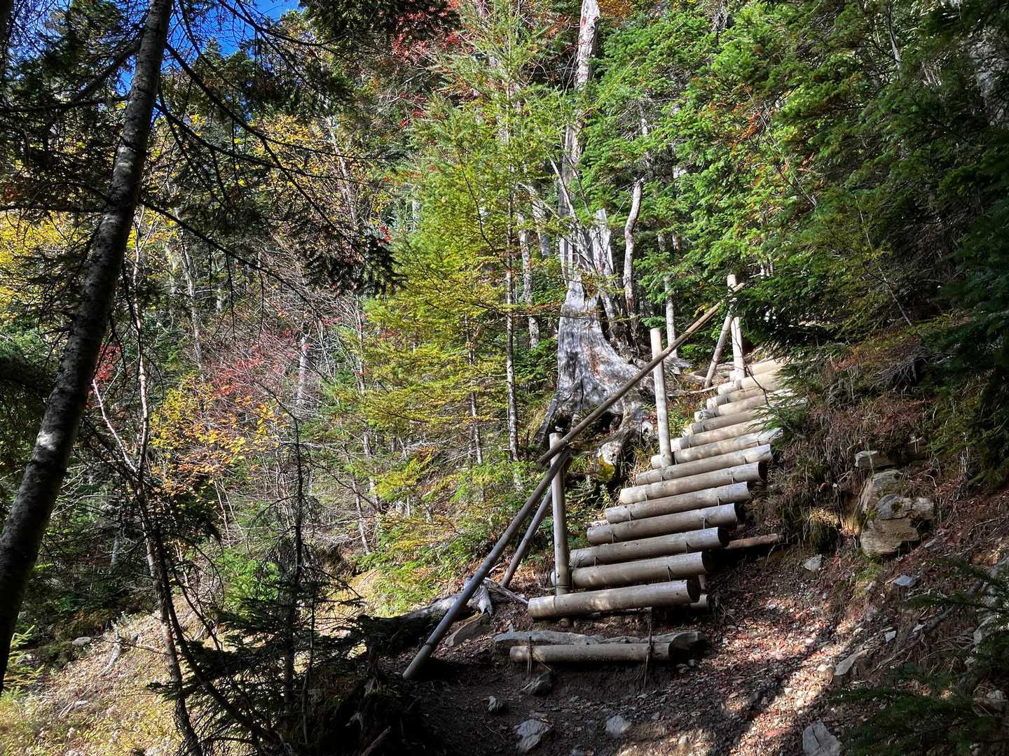 階段多めの整備された登山道を進みます。