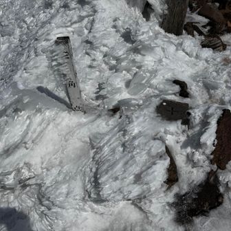 えびのしっぽ溶けてる三角点