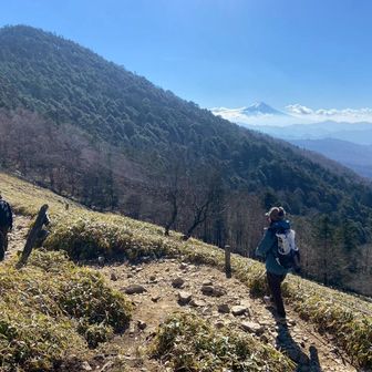 ゆみもも .｡.:*☆