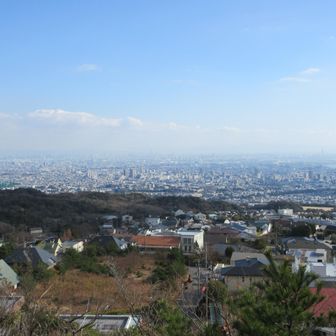 基準点からの眺め