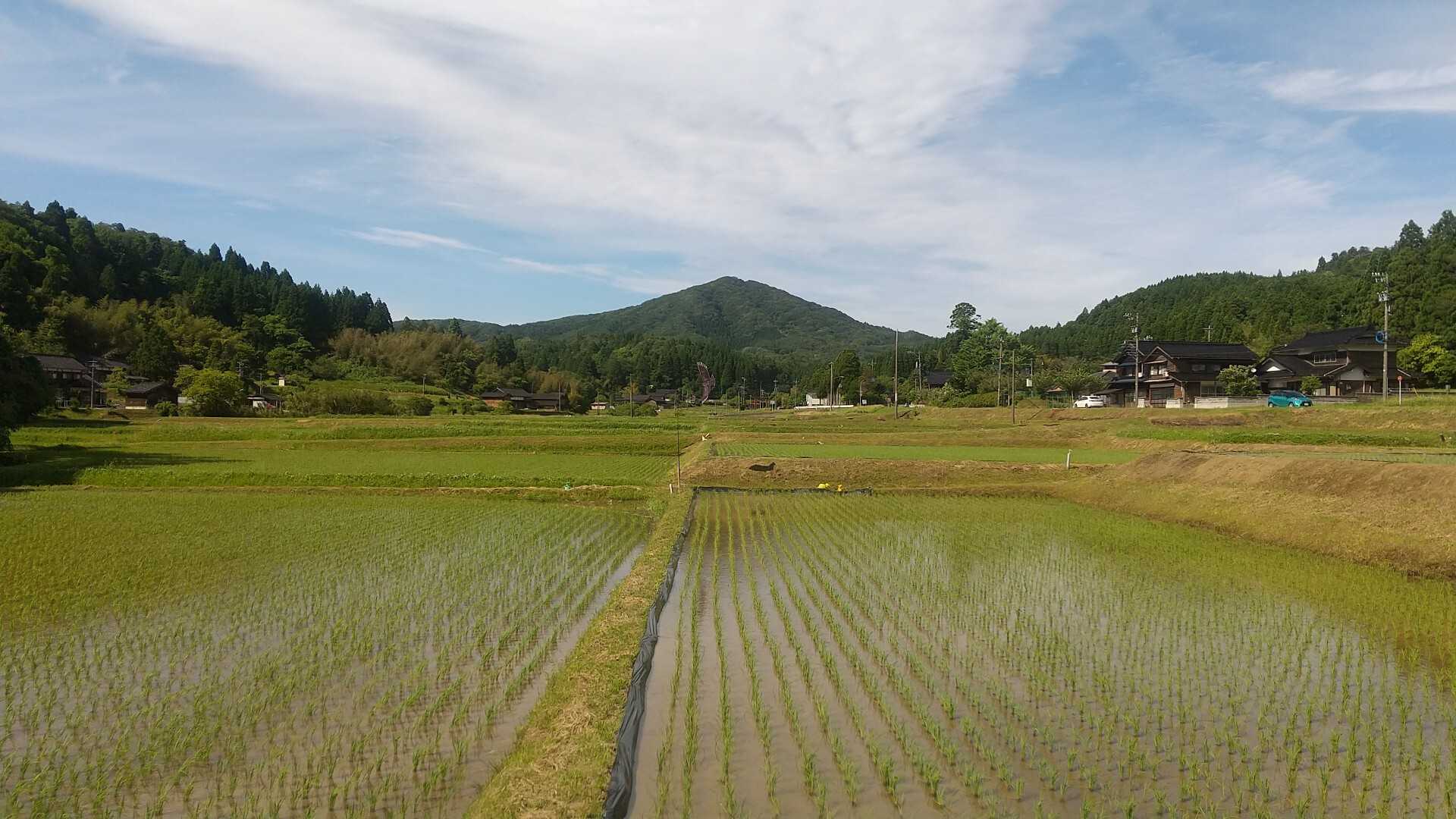 高爪山の写真