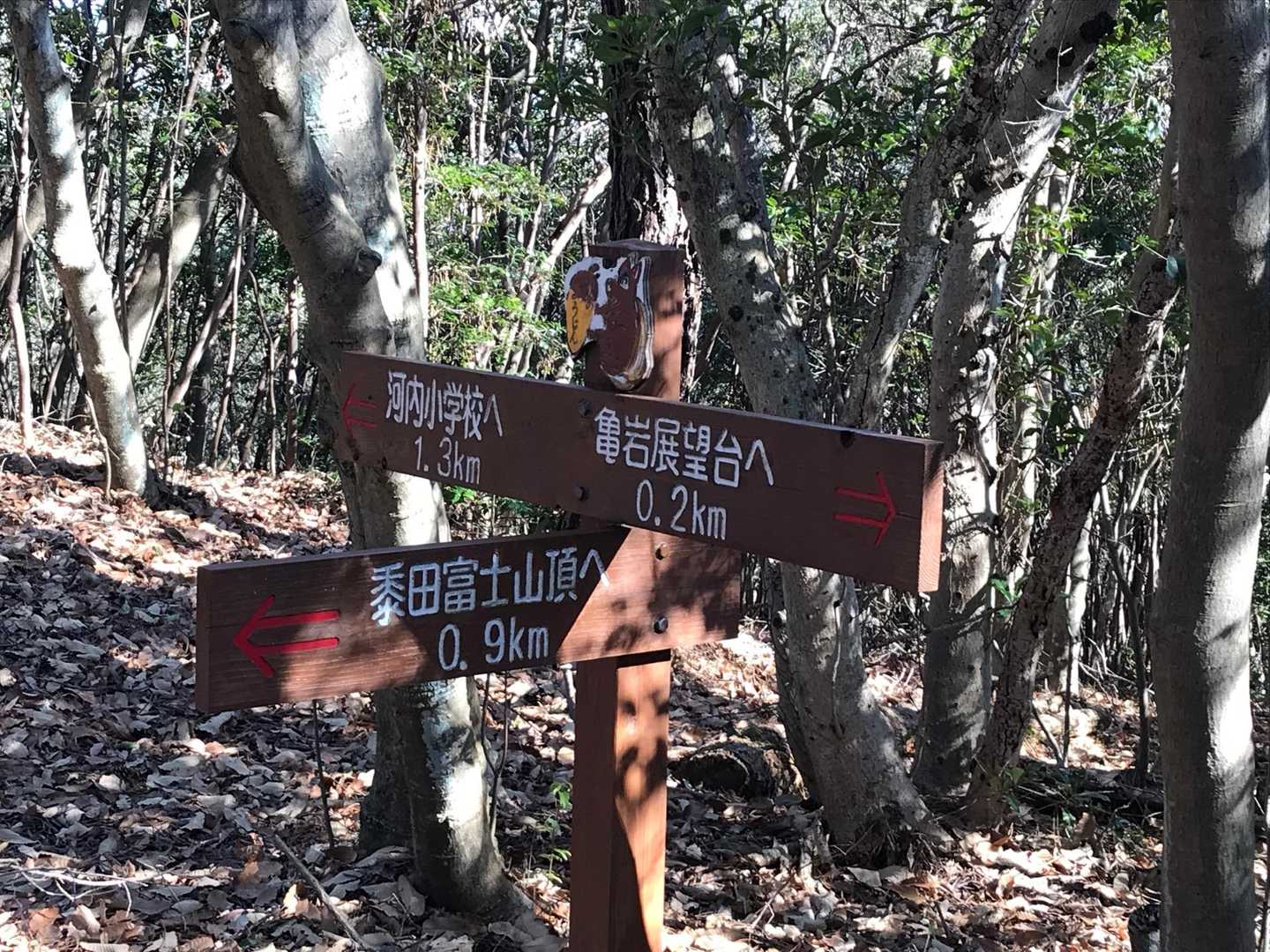 この分岐、宝記山目指して河内小学校方面へ行きます