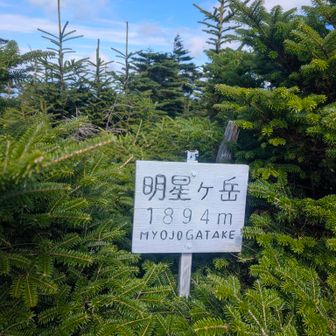 で、来ました明星ヶ岳⛰あとから知ったんだけど近畿の最高峰トップ3って、八経ヶ岳、弥山、明星ヶ岳なのね！踏めてよかったー！！