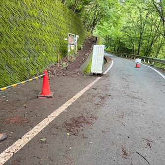 前夜に雨が降ったのか、濡れた登山口から山へと入っていく。
今日の歩きは如何なものか、まだ曇る空見て不安はあるが、少し体を虐めるように頑張ってくるつもりだ。